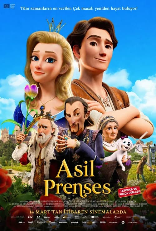 Asil Prenses film afişi