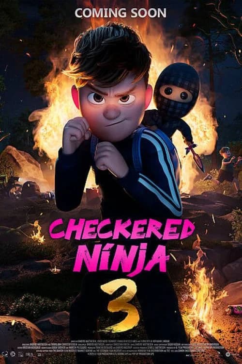 Damalı Ninja 3 film afişi