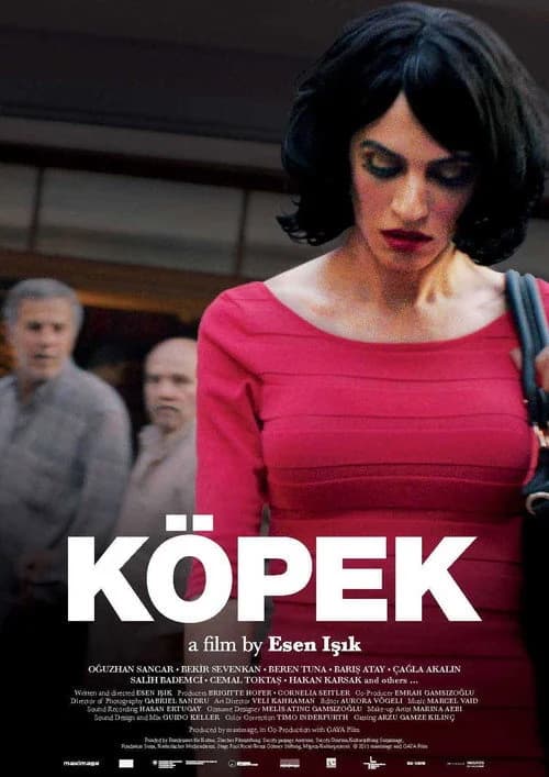 Köpek film afişi