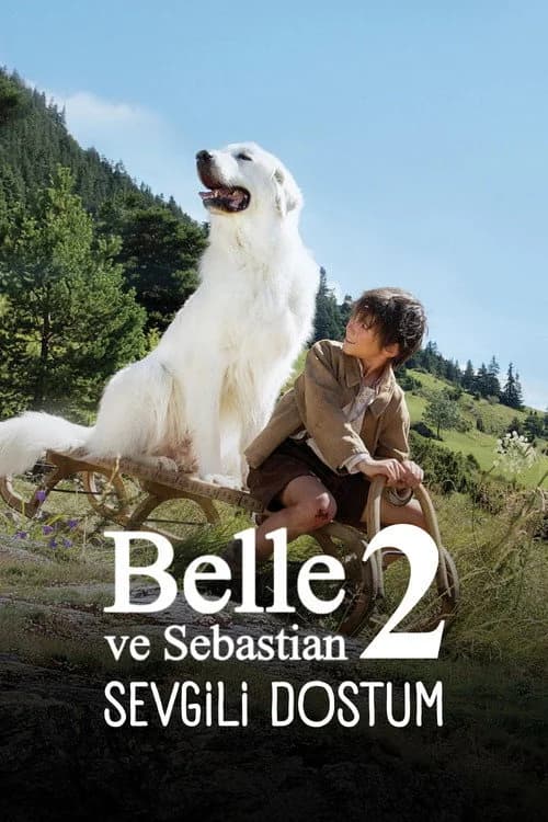 Sebastian Sevgili Dostum film afişi