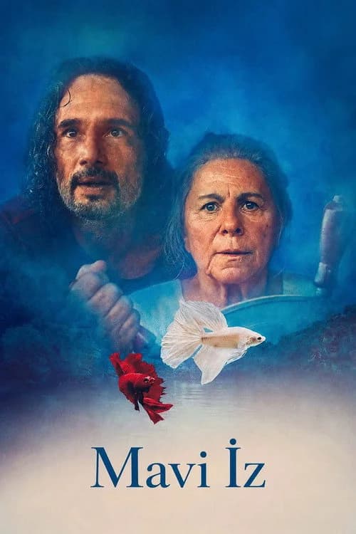 Mavi İz film afişi