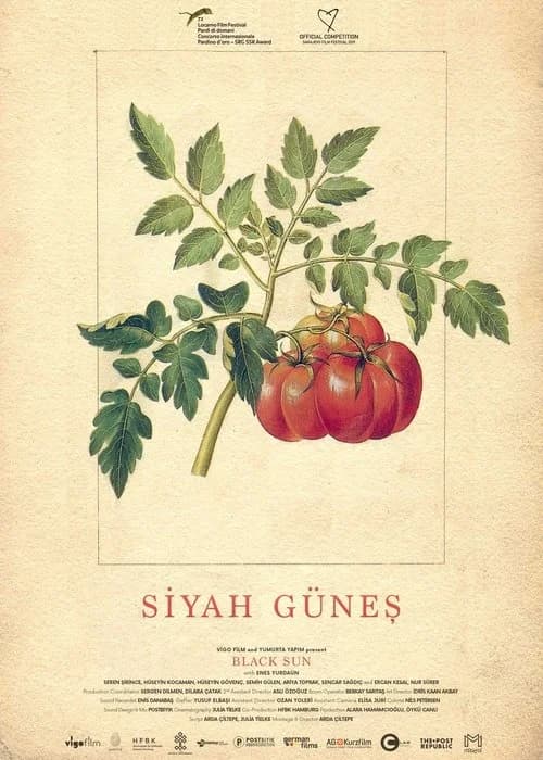Siyah Güneş film afişi