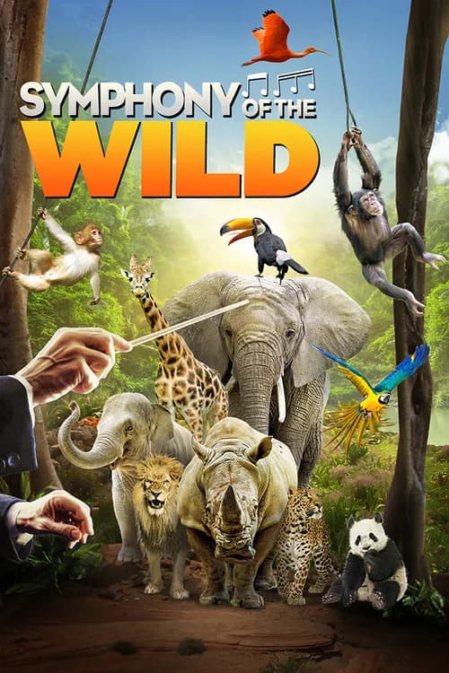 Doğanın Senfonisi film afişi