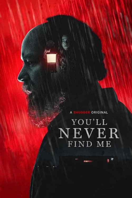 Beni Asla Bulamayacaksın film afişi